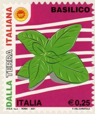 Basil