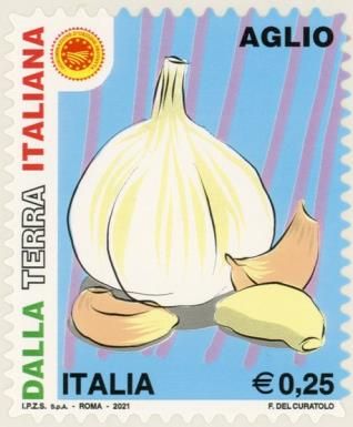 Garlic