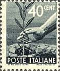 Hand Planting an Olive Tree