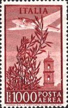 Olive Tree, Airplane and Tower of Campidoglio