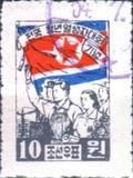 Youth with countryflag