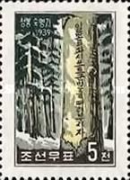 Tree inscription in the forest of Chung Blog