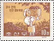 Fruit Picking
