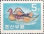 Mandarin Duck (Aix galericulata)