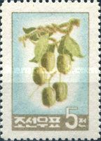 Hardy kiwi