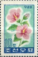 Hibiscus (Hibiscus syriacus)