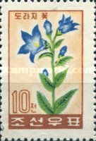 Blue Campanula