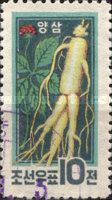 Wild Ginseng