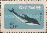 Common Dolphin (Delphinus delphis)