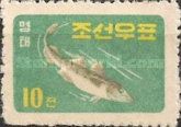 Pacific Cod (Gadus macrocephalus)