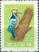 White-backed Woodpecker (Dendrocopos leucotos)