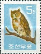 Oriental Scops Owl (Otus sunia)