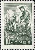 Reforestration Campaign