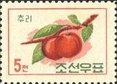 Peaches (Prunus persica)
