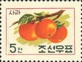 Apples(Malus baccata var. Mandshurica)