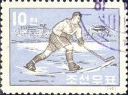 Ice Hockey