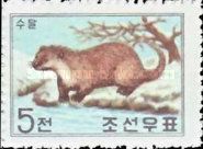 European Otter (Lutra lutra)