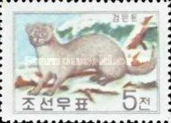 Wild Mink (Lutreola sibirica)