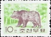 Brown Bear (Ursus arctos)
