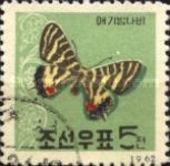 Luehdorfia puziloi
