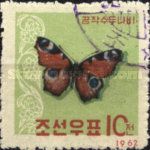 European peacock (Aglais io)