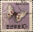 Nomion Parnassius (Parnassius nomion)