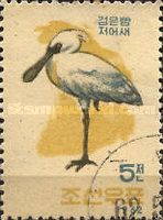 Black-faced Spoonbill (Platalea minor)
