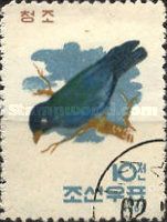 Oriental Dollarbird (Eurystomus orientalis)