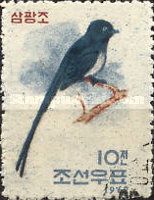 Japanese Paradise-flycatcher (Terpsiphone atrocaudata)