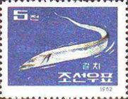 Largehead Hairtail (Trichiurus lepturus)