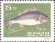 Croaker (Nibea schlegeli)