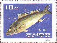 Japanese Seabass (Lateolabrax japonicus)