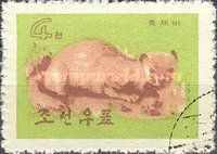 European Polecat (Mustela putorius)