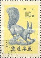 Eurasian Red Squirrel (Sciurus vulgaris)