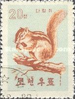 Siberian Chipmunk (Eutamias sibiricus)