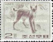 Eurasian Lynx (Lynx lynx)