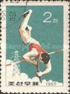 Pole Vault