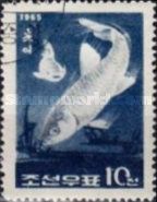 Barbel (Barbus sp.)