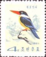 Black-capped Kingfisher (Halcyon pileata)