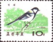 Great Tit (Parus major ssp. wladiwostocensis)