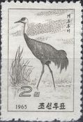 Hooded Crane (Grus monacha)