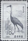 White-naped Crane (Grus vipio)