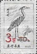 Grey Heron (Ardea cinerea)