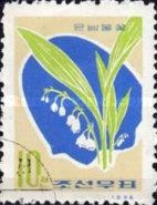 Lily of the Valley (Convallaria majalis)