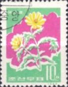 Adonis amurensis