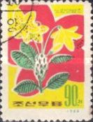 Rhododendron chrysanthum