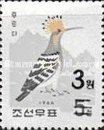 Hoopoe (Upupa epops)