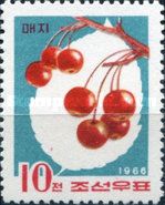 Siberian crabapple (Malus baccata var. Mandshurica)