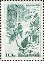 Forest work