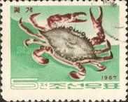 Gazami Crab (Portunus trituberculatus)